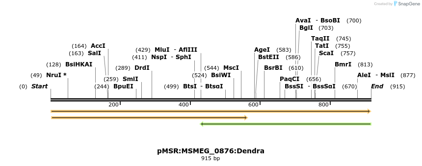 339321_map