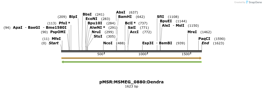 339322_map