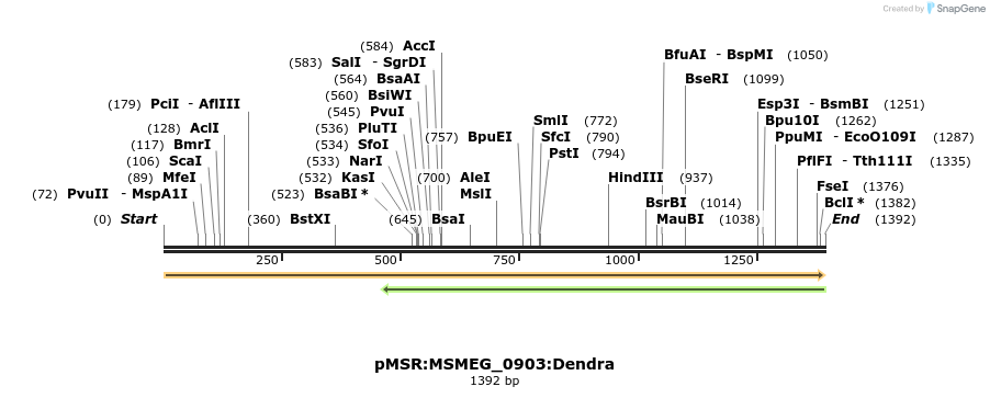 339324_map