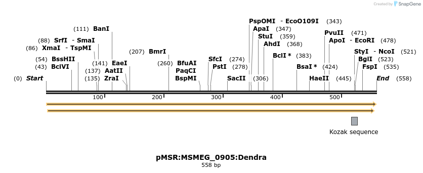 339325_map