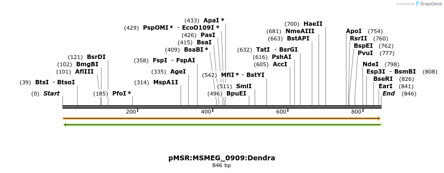 339326_map