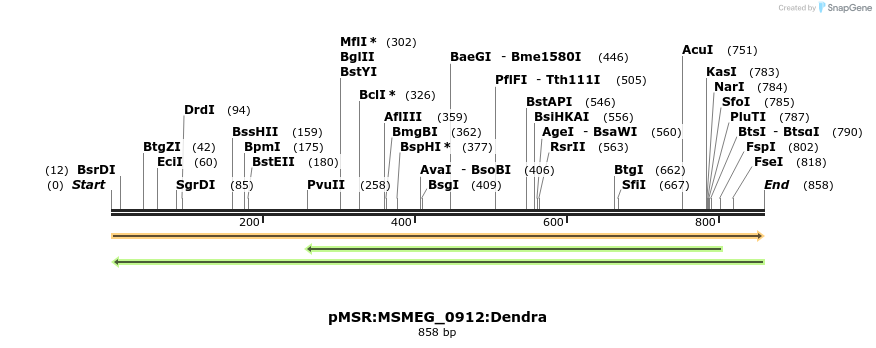 339327_map