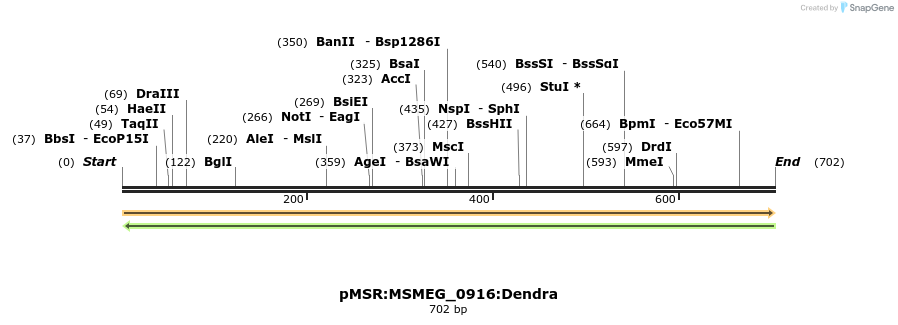 339329_map