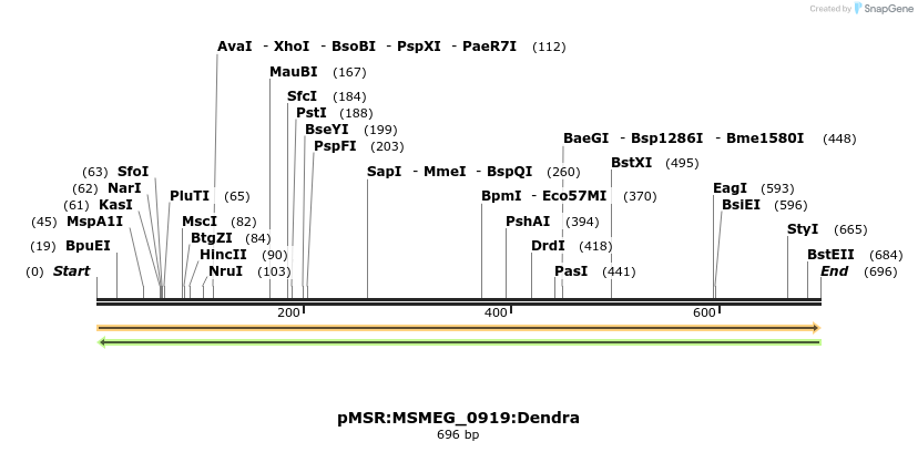 339330_map