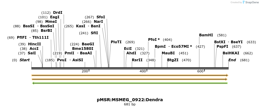 339331_map