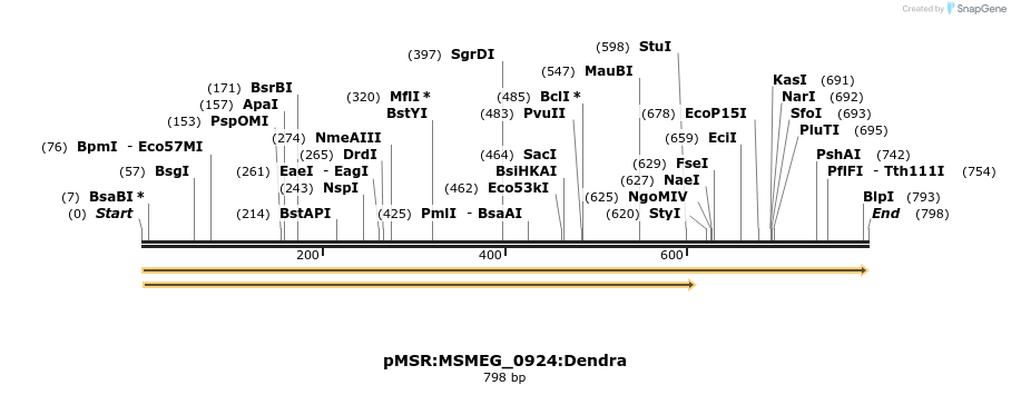 339332_map