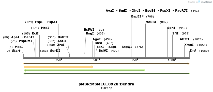 339333_map
