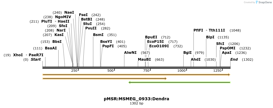 339335_map
