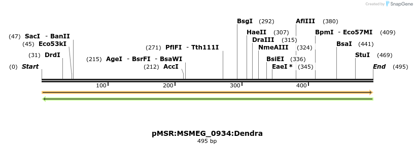 339336_map