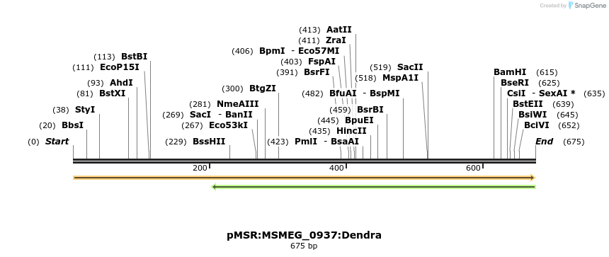 339339_map
