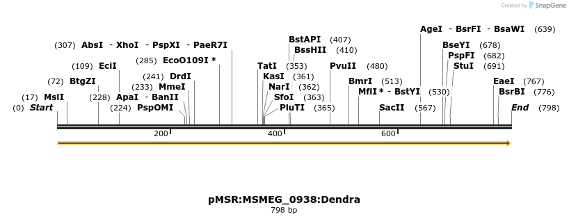 339340_map