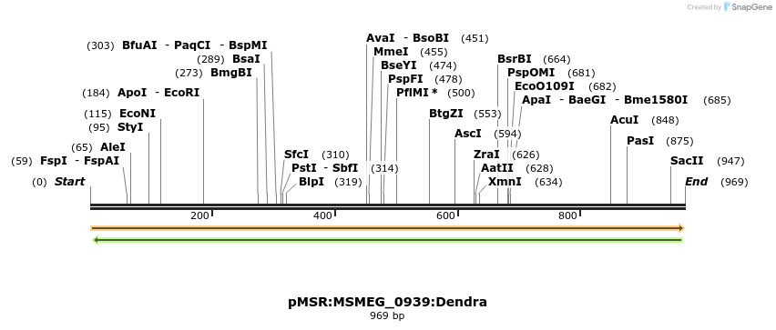 339341_map