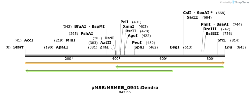 339342_map
