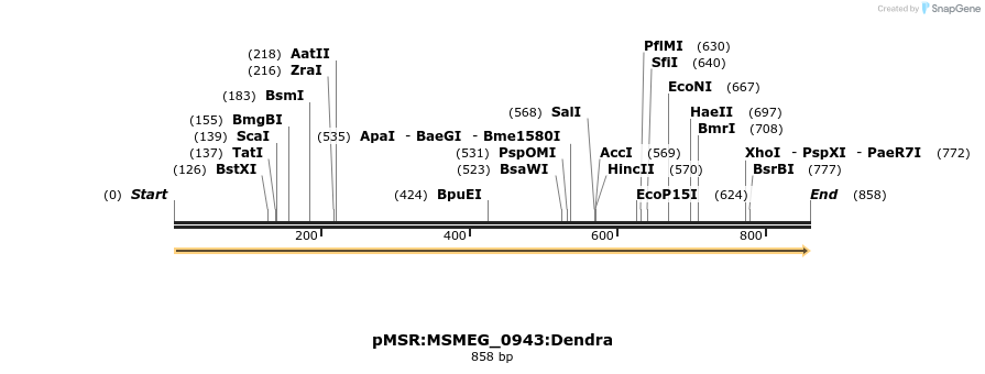 339343_map