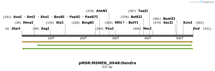 339346_map