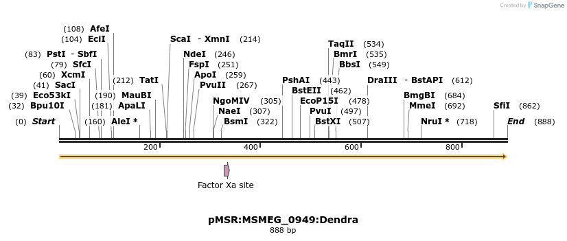 339347_map