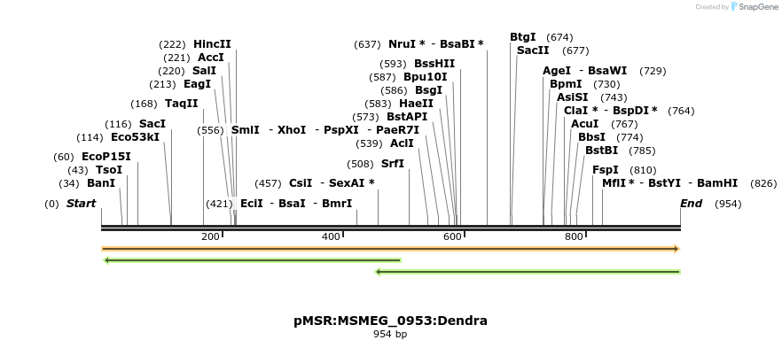 339349_map