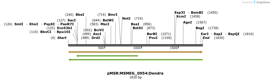 339350_map