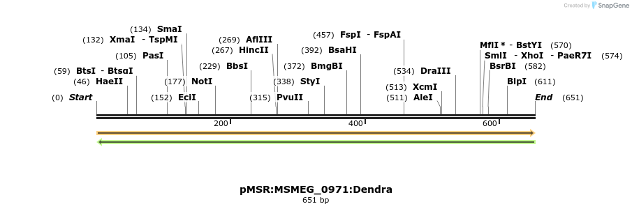 339354_map