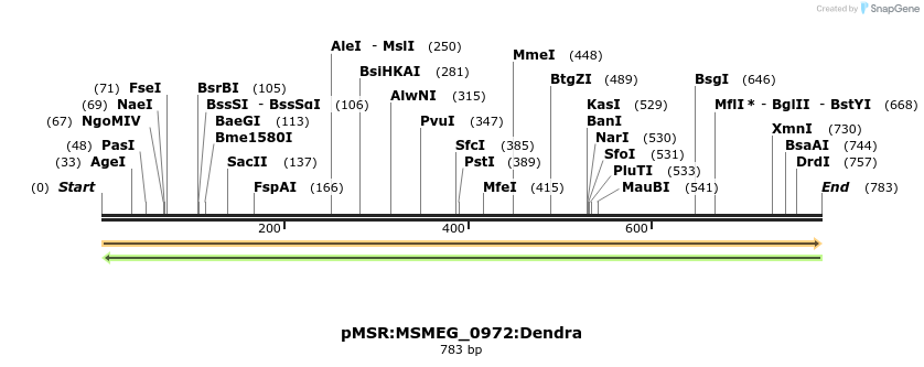 339355_map