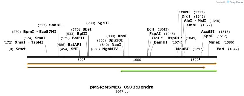 339356_map