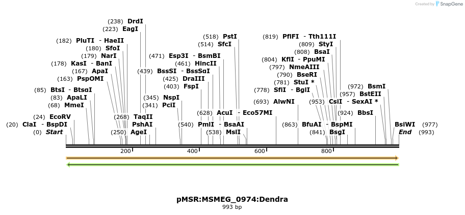 339357_map