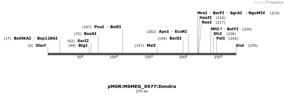 339358_map