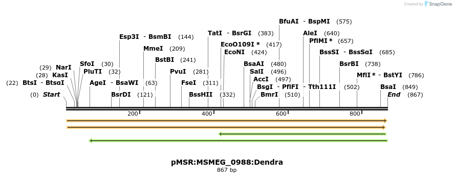 339359_map