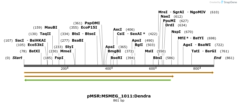 339360_map