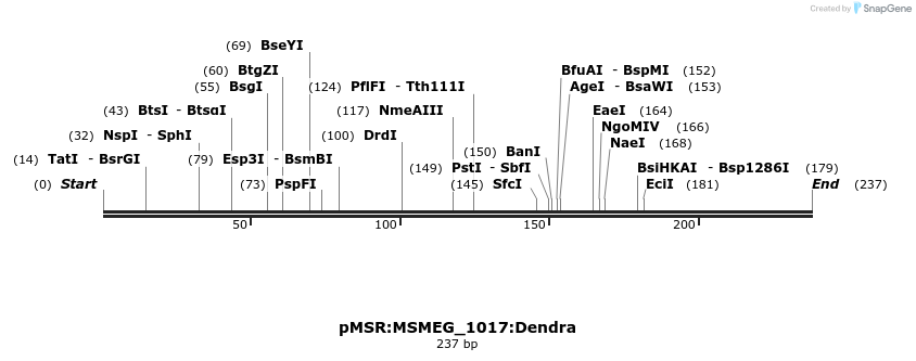 339361_map