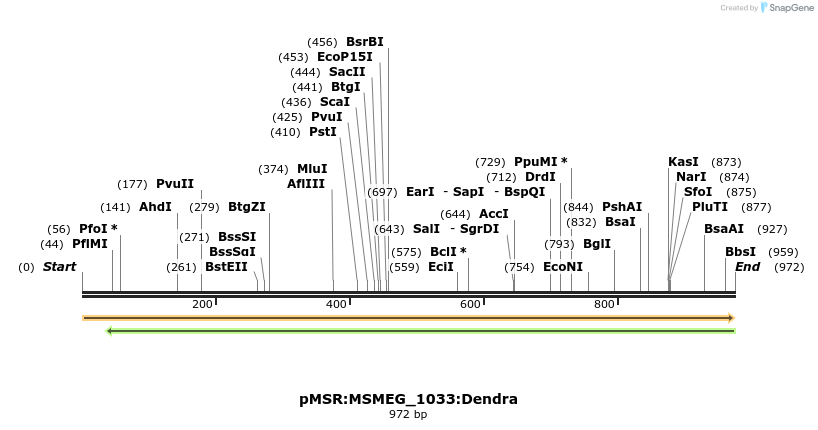 339363_map