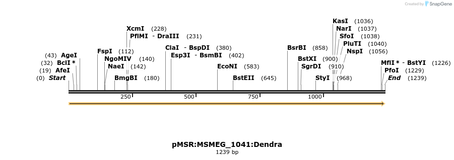 339365_map