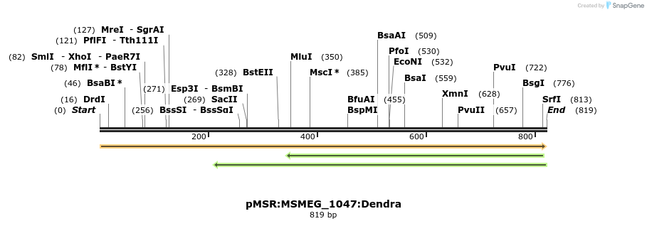 339367_map
