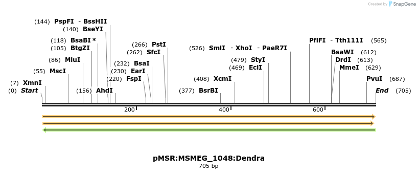 339368_map