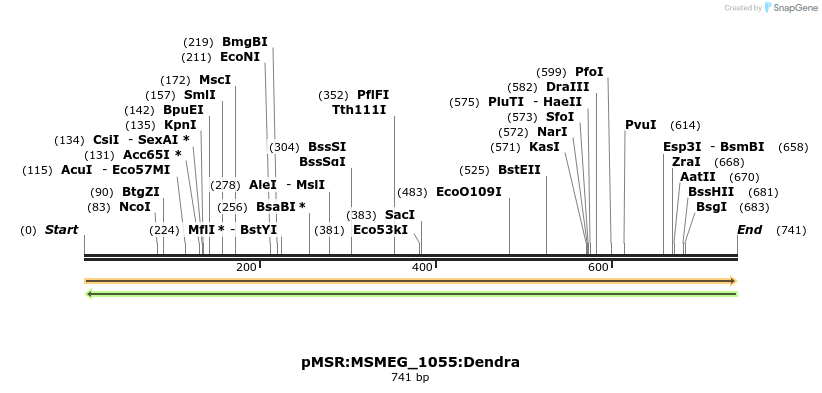 339371_map