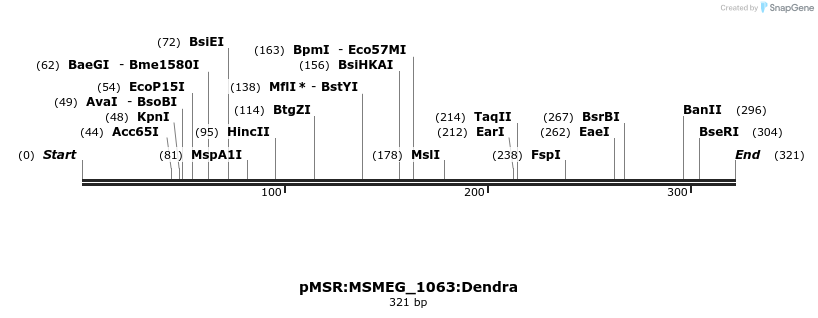 339373_map