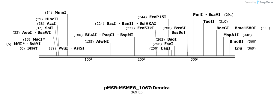 339374_map
