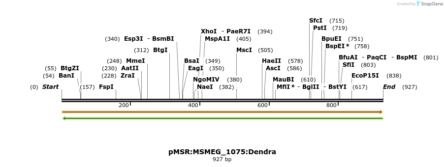 339375_map