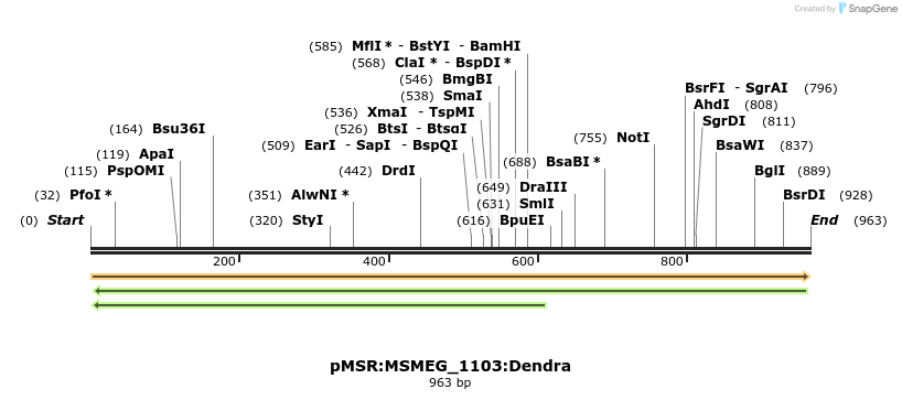 339376_map