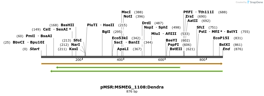 339377_map