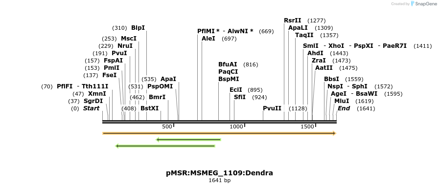 339378_map