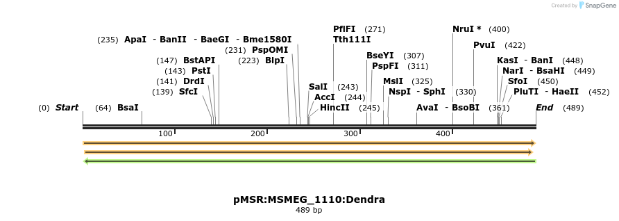 339379_map