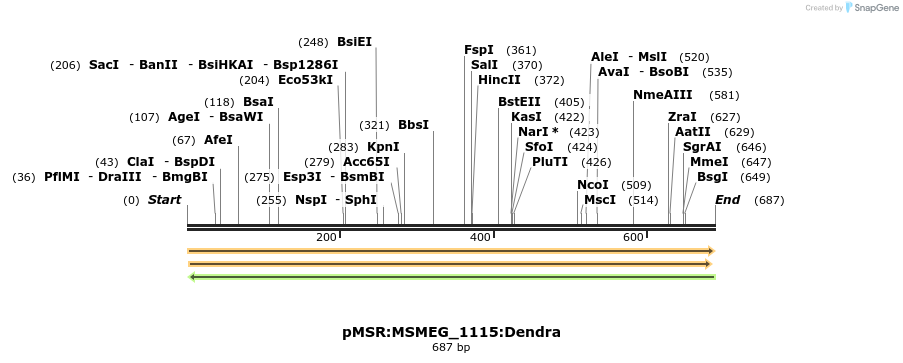 339380_map
