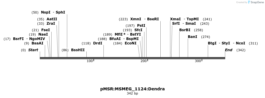 339381_map