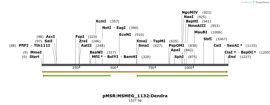 339382_map