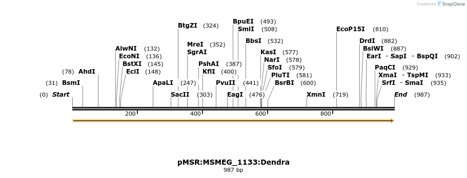 339383_map