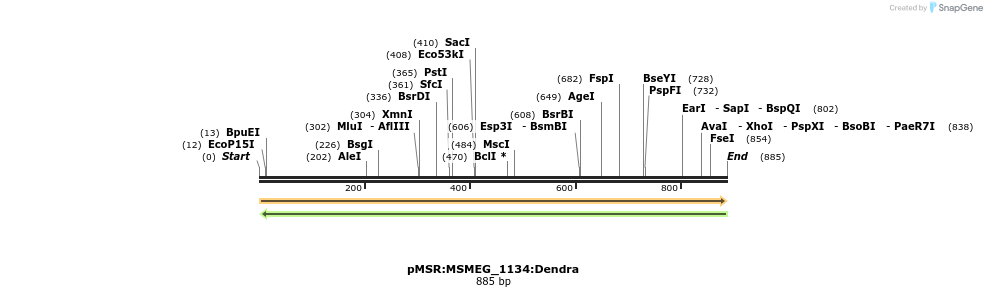 339384_map
