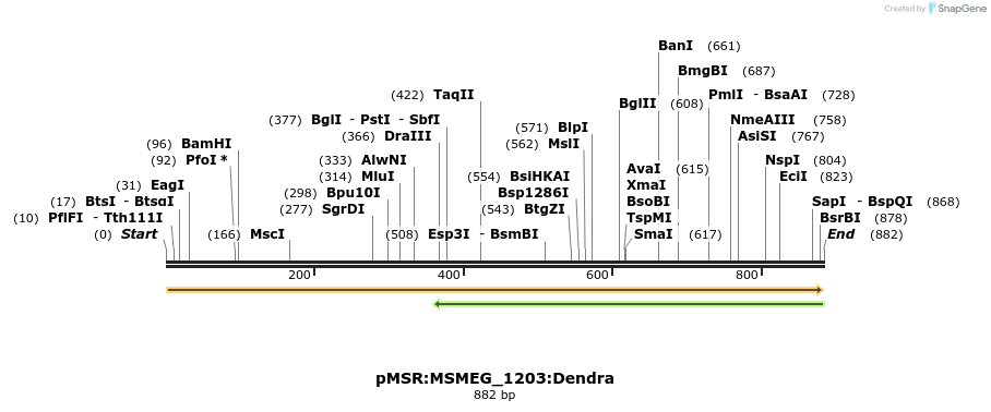 339385_map