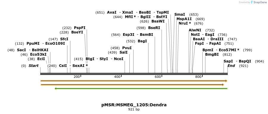 339386_map