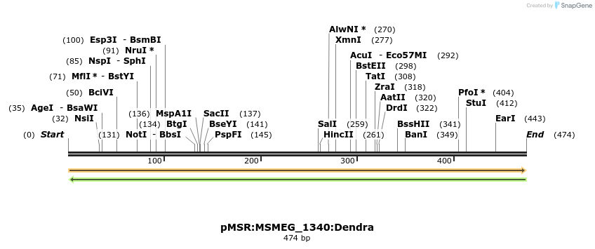 339388_map